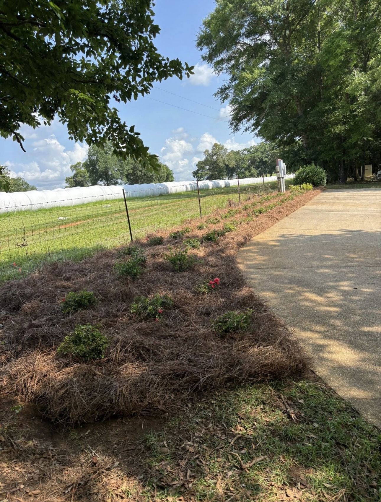 Landscape Bed Mulch Installation Fairhope AL
